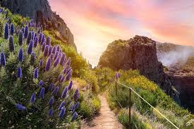 MADEIRA 1